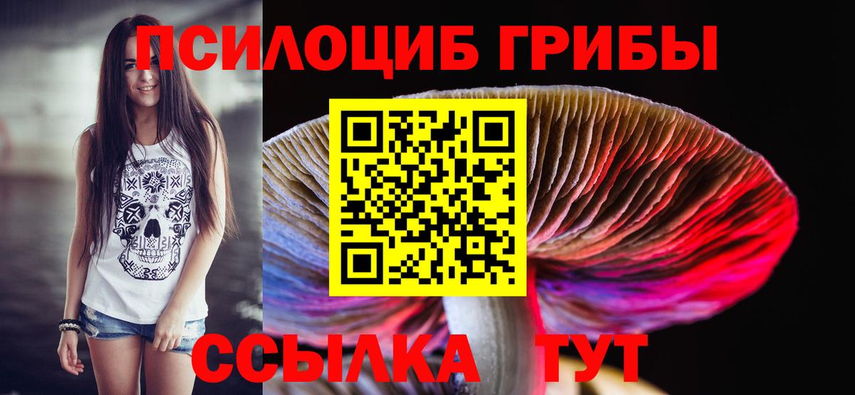Псилоцибиновые грибы ЛСД  Псилоцибиновые грибы GOLDEN TEACHER  Самара  Вход с VPN 